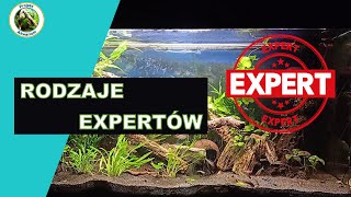 Rodzaje Expertów [upl. by Adnalue]