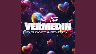 Vermedin Slowed amp Reverb [upl. by Demetra]