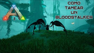 Como tamear un Bloodstalker Acechador Sangriento de manera fácil y rápida En Ark Survival Evolved [upl. by Dunstan333]