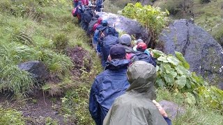 Passeio CCM  Serra dÁgua Curral Jangão Relvinhas até ao Curral das Freiras 31 10 2015 [upl. by Scheld803]