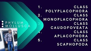 CLASS POLYPLACOPHORA [upl. by Dyol852]