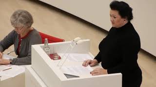 Birgit Bessin AfD zur roten quotRespektRentequot Nichts als heiße Luft der SPD [upl. by Nilauqcaj]