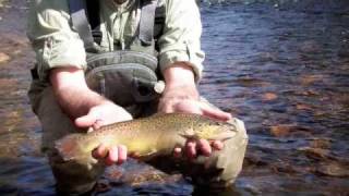 Farmington River Outing [upl. by Betsey386]