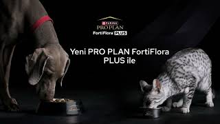 Probiyotik ve prebiyotik içeren özel formüllü Pro Plan FortiFlora Plus [upl. by Cogen]