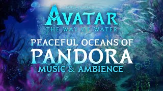 Avatar The Way of Water  Oceans of Pandora Music amp Ambience in 4K w ASMRWeeklyampWilliamMaytook [upl. by Margot]