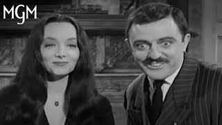 Best of Morticia amp Gomez Addams  MGM Studios [upl. by Eirojam]