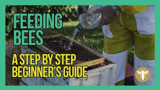 Feeding Bees A Step By Step Beekeeping for Beginners Guide [upl. by Primo]