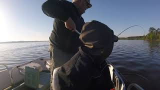 BRUSH PILE FISHING IN 2019 crappie brush piles lake sam rayburn [upl. by Zwiebel816]