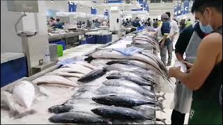 Dubai Waterfront Fish Market [upl. by Llehcal752]