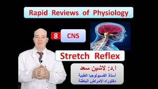 Physiology ReviewsCNS Stretch reflex [upl. by Elvera]