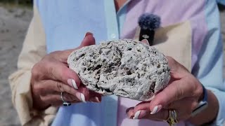 Woman finds ambergris on Florida beach The whale poop could be worth a fortune [upl. by Alur]