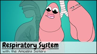 Respiratory System [upl. by Arreyt]