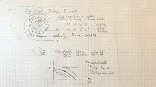 Centrifugal Pump Basics [upl. by Eustazio152]