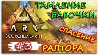 Ark Survival Evolved Scorched Earth  СПАСЕНИЕ РАПТОРА КАК ПРИРУЧИТЬ БАБАЧКУ Lymantria 3 [upl. by Meehyr985]