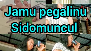 jamu herbal pegalinu sidomuncul [upl. by Leinahtam]