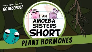 Plant Hormones  Amoeba Sisters Shorts [upl. by Eioj]