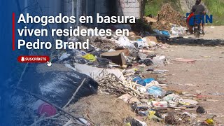 Ahogados en basura viven residentes en Pedro Brand [upl. by Aniretac402]