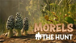 MORELS THE HUNT Gameplay [upl. by Cary175]