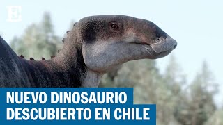 CHILE Descubren nuevo dinosaurio pico de pato  EL PAÍS [upl. by Ennahteb]