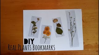 DIY Transparent Real Pressed Plants Bookmarks  My Crafting World [upl. by Aissyla]