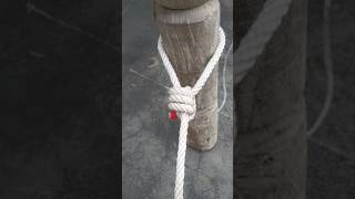 One Of The Most Strongest Knots shortsviral fyoupage fyp shorts [upl. by Abdu565]