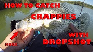 How to Dropshot For Crappies  Double Drop Shot Rig  Crappie Fishing [upl. by Dehsar580]