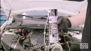 LIQUI MOLY ProLine Intake System Cleaner Diesel 5168 EN [upl. by Urban]