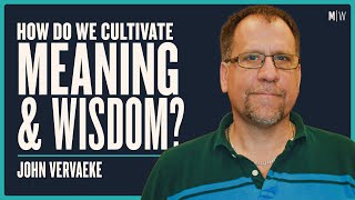 Creating A Life Of Meaning amp Wisdom  John Vervaeke  Modern Wisdom Podcast 294 [upl. by Docile]