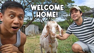 Welcoming A New Female Goat to Our Farm House  Vlog 1701 [upl. by Macintosh]