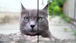 H264 vs H265 comparison 4K [upl. by Cuttler]