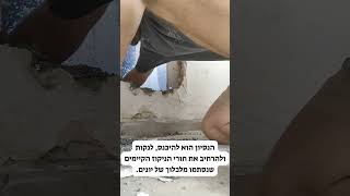 נעם סולסקי ההנדימןאיך לשבור קיר ולא להצליח להיכנס [upl. by Garap]