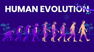 Human Evolution Animated Timeline [upl. by Zaragoza]