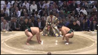 Haru Basho 2017 Day 08 Nishikugi vs Daishomaru [upl. by Akehsar]