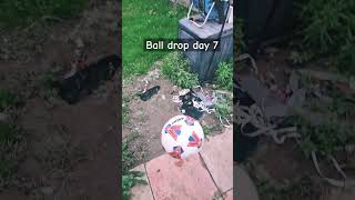 Ball drop day 7 football sports [upl. by Annahsat]