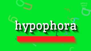 How to say quothypophoraquot High Quality Voices [upl. by Imailiv859]