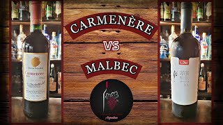 Carmenère 🇨🇱 vs Malbec 🇦🇷  ¿Podrán parecerse 🍷 [upl. by Alaet]