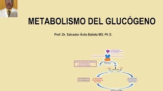 METABOLISMO DEL GLUCOGENO [upl. by Nonnaehr]