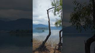 KANJIRAPUZHA DAM VIEW POINT 🤍 shorts kanjirapuzha [upl. by Chrissa305]