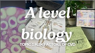 A level biology Edexcel A SNAB Topic 1 Risk Factors of CVD [upl. by Htebaile]