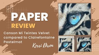 Review of Canson Mi Teintes Velvet  KerriDixonArtcom [upl. by Hoisch]