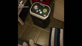 Warm amp Cozy My Dog Loves the Heater 🐶🔥 CozyDog DogLife CutePets puppy dogs [upl. by Irita932]