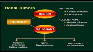 Pathology Urogenital Module  Renal Tumors [upl. by Nauqahs]