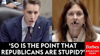 So Is The Point That Republicans Are Stupid Josh Hawley Grills Biden Nominee On Past Writing [upl. by Doy590]