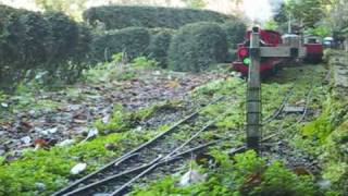 County Donegal Steam in the Garden [upl. by Sanfred]