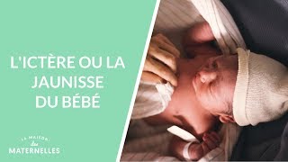 Lictère ou la jaunisse du bébé  La Maison des maternelles LMDM [upl. by Skelton]