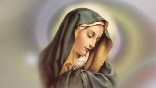 Christian Devotional Song Hindi on Mother Mary Kalvari par [upl. by Selig]