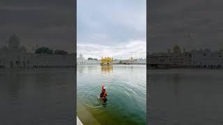 Dhan Shri Guru Ramdas Sahib Ji darbarsahib hukamnama gold travel trending [upl. by Veronika]