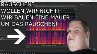 Wie man rauschen aus einer AudioAufnahme entfernt [upl. by Pangaro831]