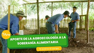 Aporte de la agroecología a la soberanía alimentaria TvAgro por Juan Gonzalo Angel Restrepo [upl. by Brubaker]