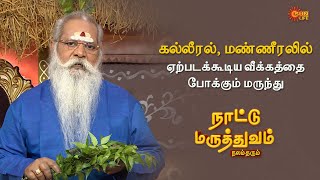 Medicine for Liver and Spleen Swelling  Naattu Maruthuvam  Sun Life TV [upl. by Acireed]